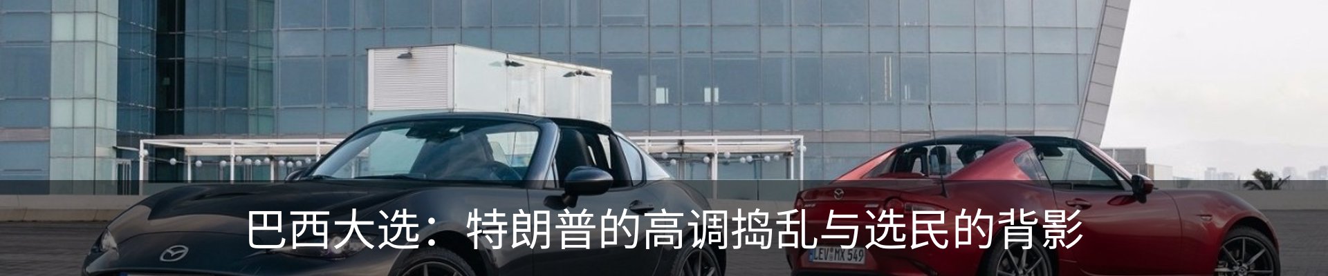 新闻动态